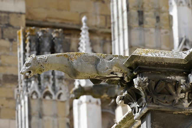 Bayonne-Avril 2012-188